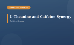 L-Theanine and Caffeine Synergy: New Research Reveals the Science Behind Smoother, Sharper Focus