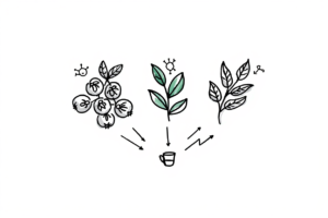 Green Tea: A Simple Drink That Can Reset Your Health in Just Two Weeks as Nature’s Herbs Are Spotlighted for Modern Wellness and Zyn-Caffeine Combo Trends on TikTok